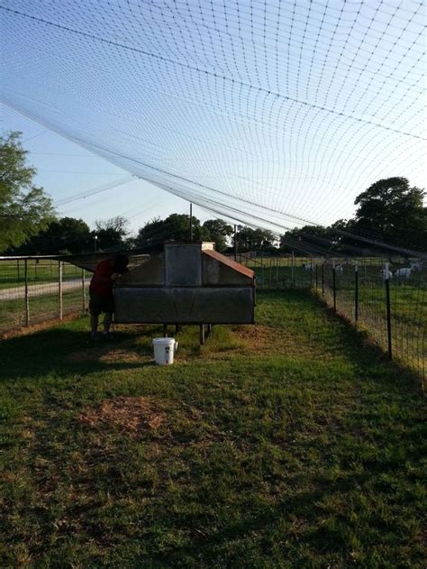 overhead netting for chicken yards